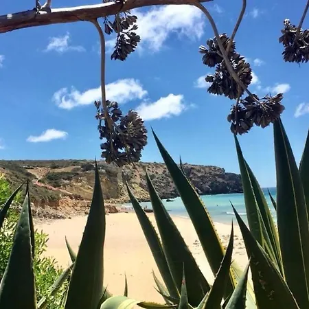 Ver-o-mar * Carvoeiro (Lagoa)