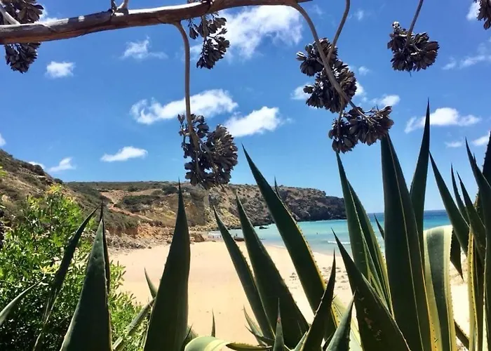 Ver-o-mar * Carvoeiro (Lagoa)